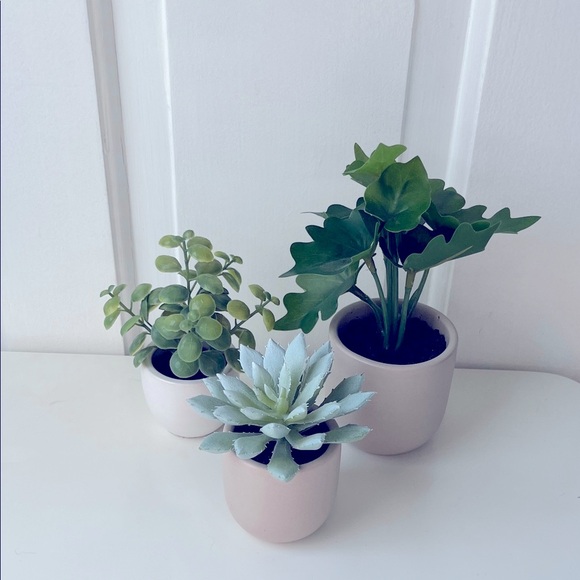 Target Set of 3 Faux Succulent Plants Table Decor - Picture 1 of 5